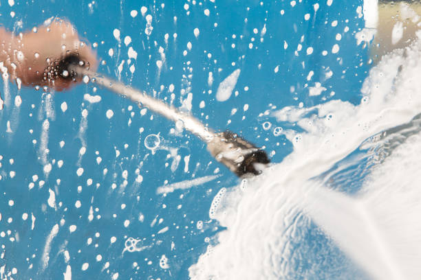 Best Animal Enclosure Cleaning  in Sulphur Springs, TX