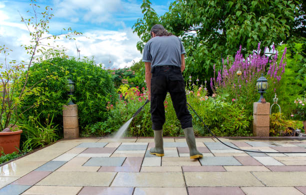 Best Sidewalk and Walkway Cleaning  in Sulphur Springs, TX
